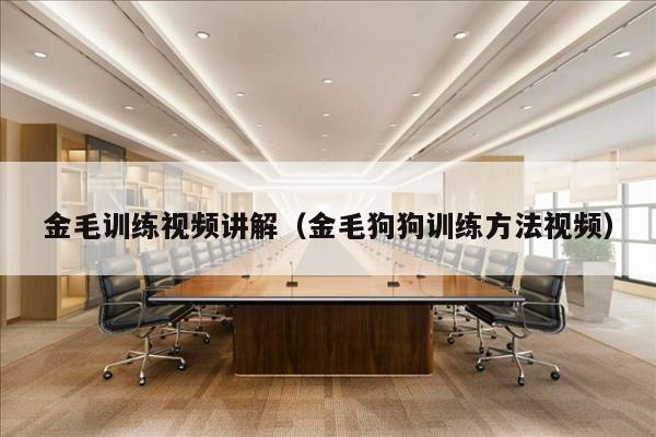 金毛训练视频讲解（金毛狗狗训练方法视频）