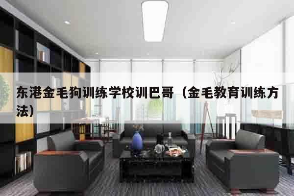 东港金毛狗训练学校训巴哥（金毛教育训练方法）