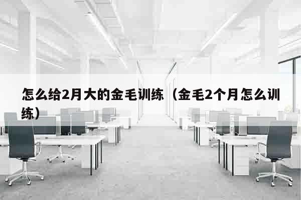 怎么给2月大的金毛训练（金毛2个月怎么训练）