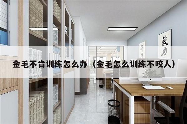 金毛不肯训练怎么办（金毛怎么训练不咬人）