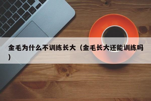 金毛为什么不训练长大（金毛长大还能训练吗）