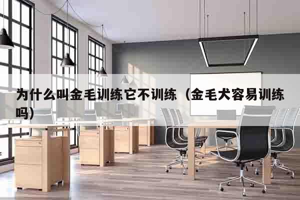 为什么叫金毛训练它不训练（金毛犬容易训练吗）