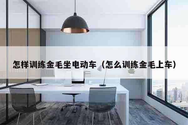 怎样训练金毛坐电动车（怎么训练金毛上车）