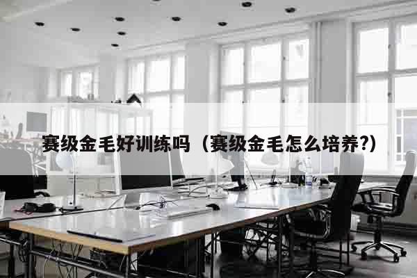赛级金毛好训练吗（赛级金毛怎么培养?）