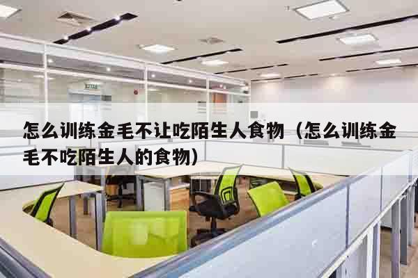 怎么训练金毛不让吃陌生人食物（怎么训练金毛不吃陌生人的食物）