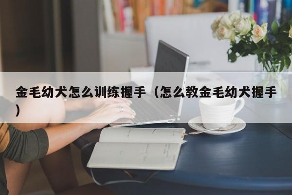 金毛幼犬怎么训练握手（怎么教金毛幼犬握手）