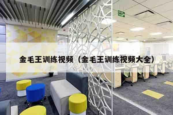 金毛王训练视频（金毛王训练视频大全）