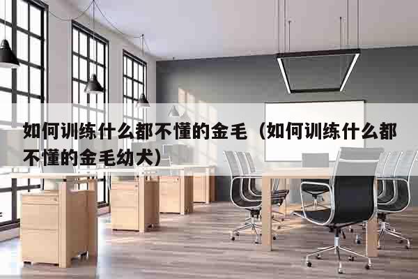 如何训练什么都不懂的金毛（如何训练什么都不懂的金毛幼犬）