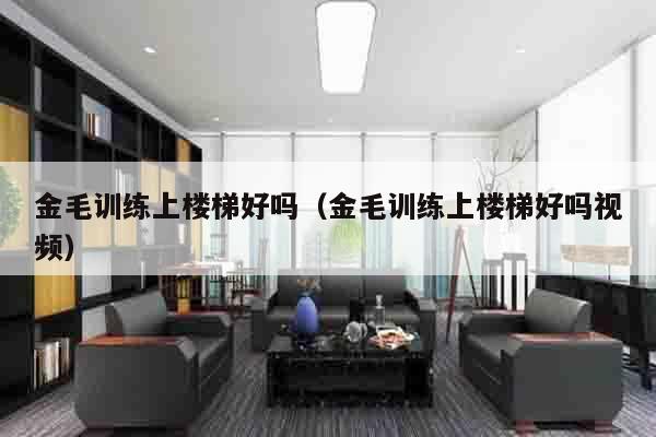 金毛训练上楼梯好吗（金毛训练上楼梯好吗视频）