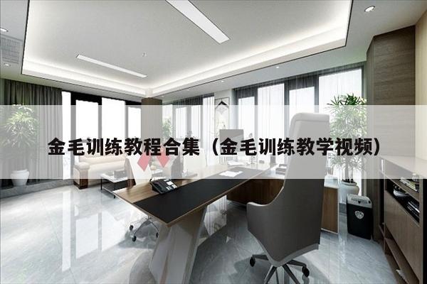 金毛训练教程合集（金毛训练教学视频）