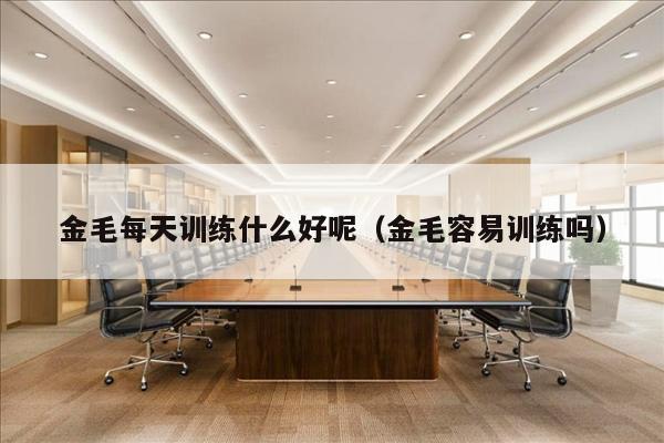 金毛每天训练什么好呢（金毛容易训练吗）