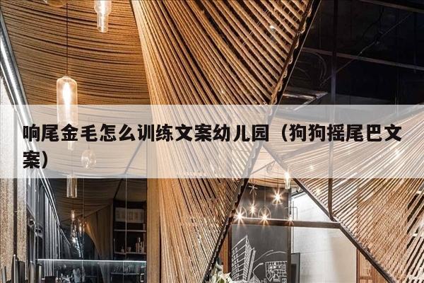 响尾金毛怎么训练文案幼儿园（狗狗摇尾巴文案）