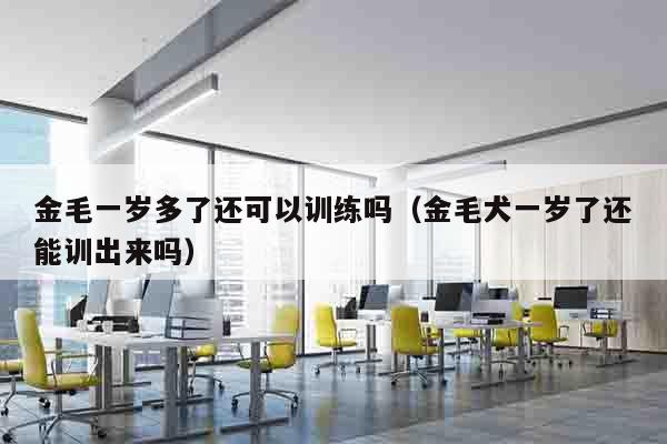 金毛一岁多了还可以训练吗（金毛犬一岁了还能训出来吗）