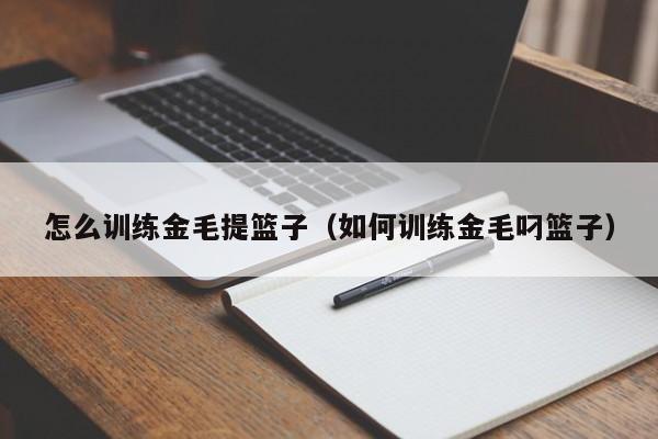 怎么训练金毛提篮子（如何训练金毛叼篮子）