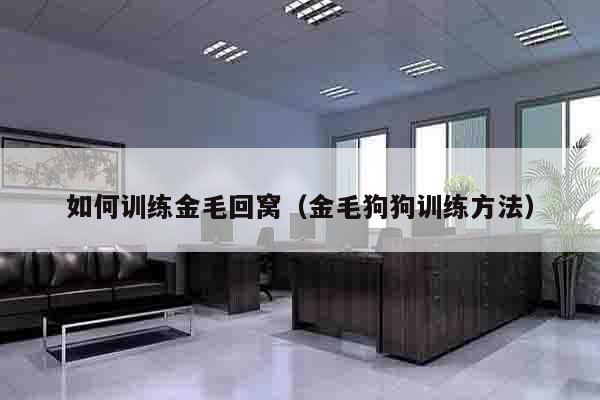 如何训练金毛回窝（金毛狗狗训练方法）