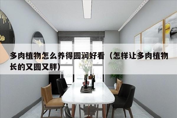 多肉植物怎么养得圆润好看（怎样让多肉植物长的又圆又胖）