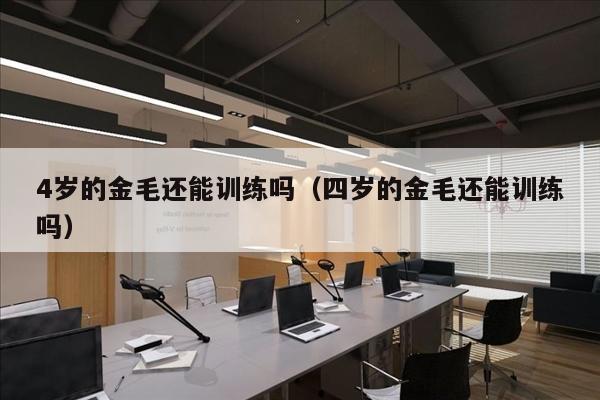 4岁的金毛还能训练吗（四岁的金毛还能训练吗）
