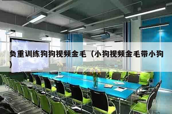 负重训练狗狗视频金毛（小狗视频金毛带小狗）