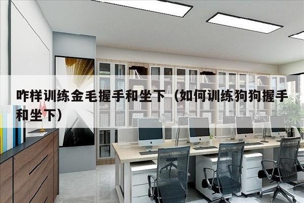 咋样训练金毛握手和坐下（如何训练狗狗握手和坐下）