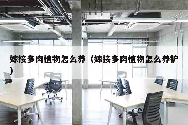 嫁接多肉植物怎么养（嫁接多肉植物怎么养护）
