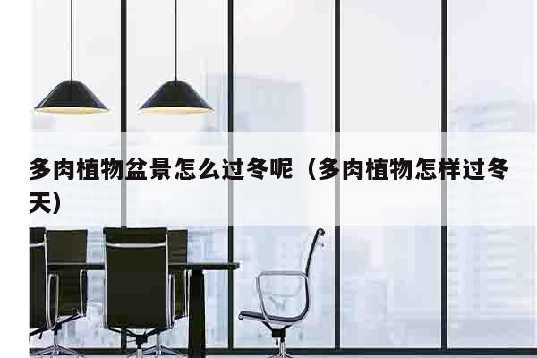 多肉植物盆景怎么过冬呢（多肉植物怎样过冬天）