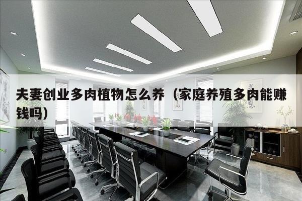 夫妻创业多肉植物怎么养（家庭养殖多肉能赚钱吗）