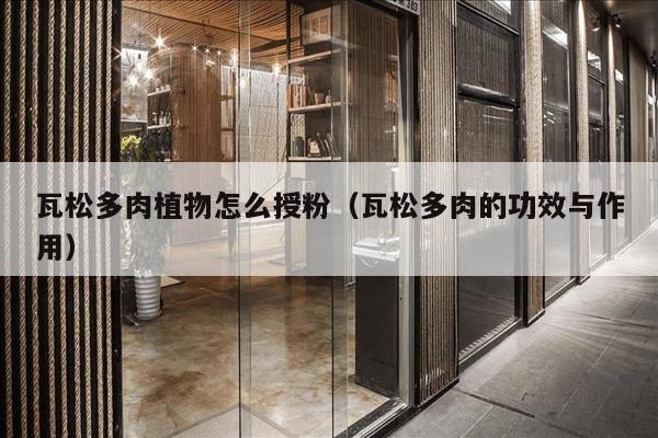 瓦松多肉植物怎么授粉（瓦松多肉的功效与作用）