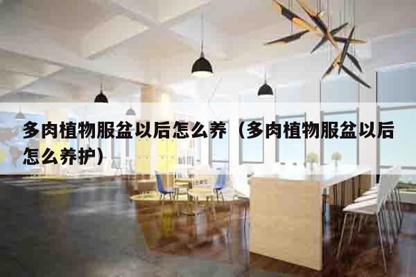多肉植物服盆以后怎么养（多肉植物服盆以后怎么养护）
