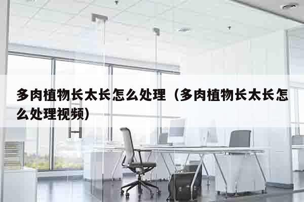多肉植物长太长怎么处理（多肉植物长太长怎么处理视频）