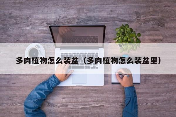 多肉植物怎么装盆（多肉植物怎么装盆里）