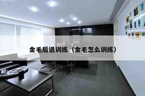 金毛后退训练（金毛怎么训练）