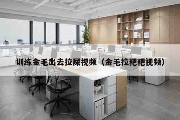 训练金毛出去拉屎视频（金毛拉粑粑视频）