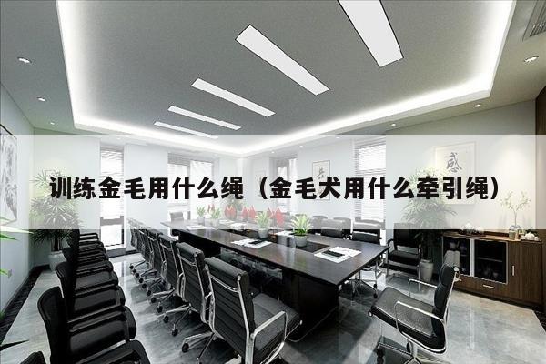 训练金毛用什么绳（金毛犬用什么牵引绳）