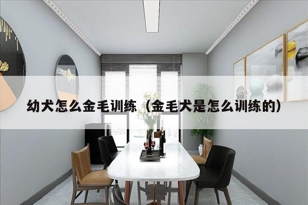 幼犬怎么金毛训练（金毛犬是怎么训练的）