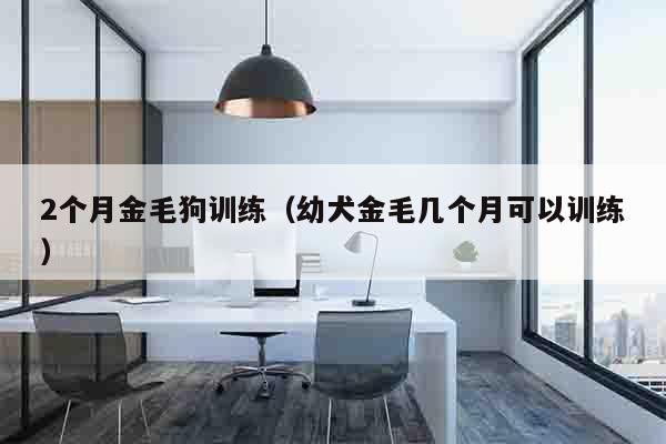 2个月金毛狗训练（幼犬金毛几个月可以训练）