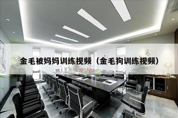 金毛被妈妈训练视频（金毛狗训练视频）
