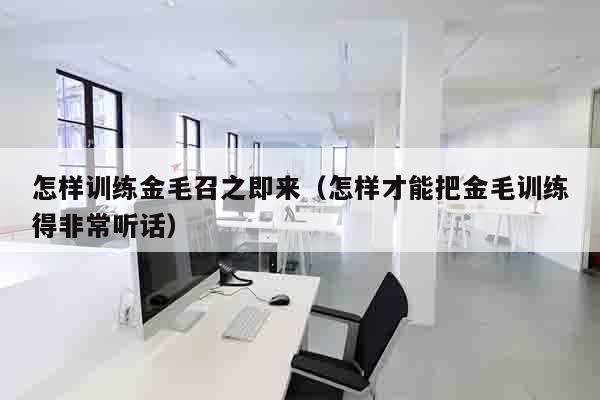 怎样训练金毛召之即来（怎样才能把金毛训练得非常听话）