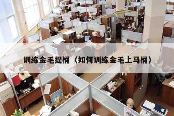 训练金毛提桶（如何训练金毛上马桶）