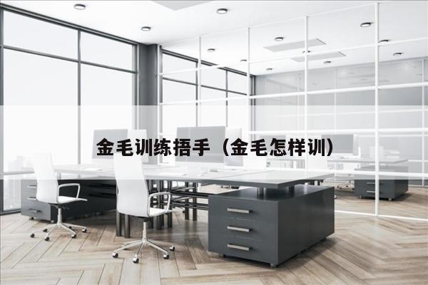 金毛训练捂手（金毛怎样训）