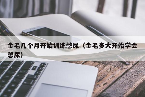 金毛几个月开始训练憋尿（金毛多大开始学会憋尿）