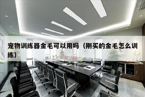 宠物训练器金毛可以用吗（刚买的金毛怎么训练）