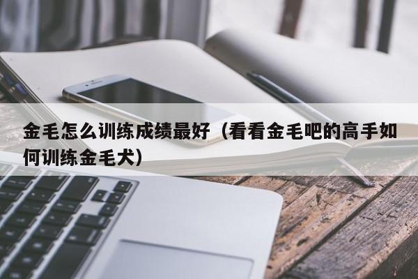 金毛怎么训练成绩最好（看看金毛吧的高手如何训练金毛犬）