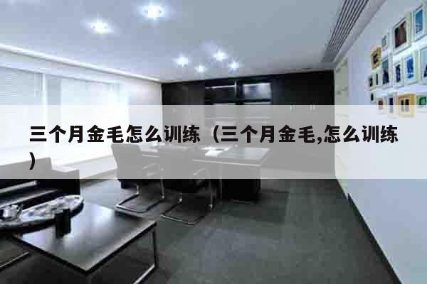 三个月金毛怎么训练（三个月金毛,怎么训练）