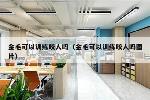 金毛可以训练咬人吗（金毛可以训练咬人吗图片）