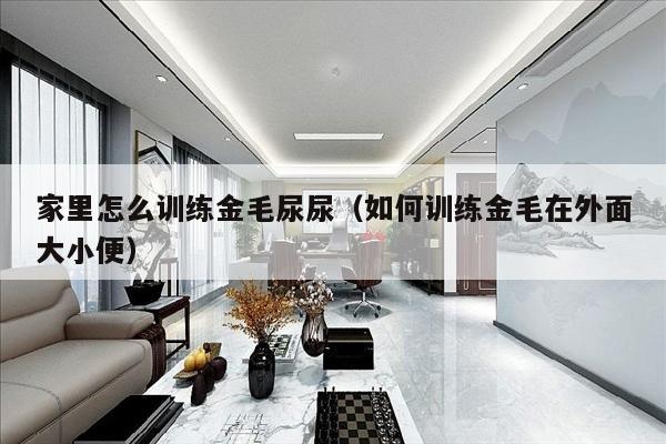 家里怎么训练金毛尿尿（如何训练金毛在外面大小便）