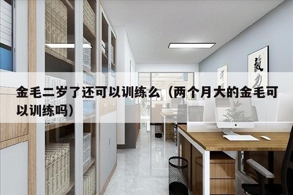 金毛二岁了还可以训练么（两个月大的金毛可以训练吗）