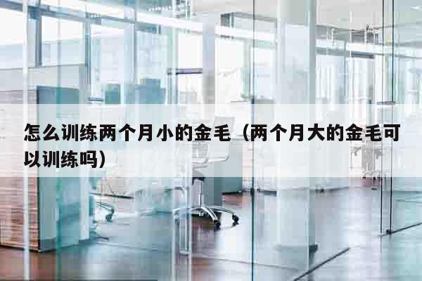 怎么训练两个月小的金毛（两个月大的金毛可以训练吗）