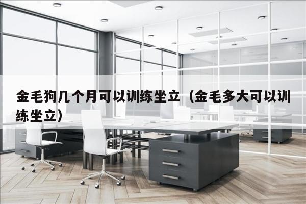金毛狗几个月可以训练坐立（金毛多大可以训练坐立）