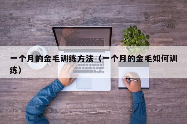 一个月的金毛训练方法（一个月的金毛如何训练）