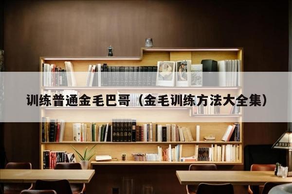 训练普通金毛巴哥（金毛训练方法大全集）